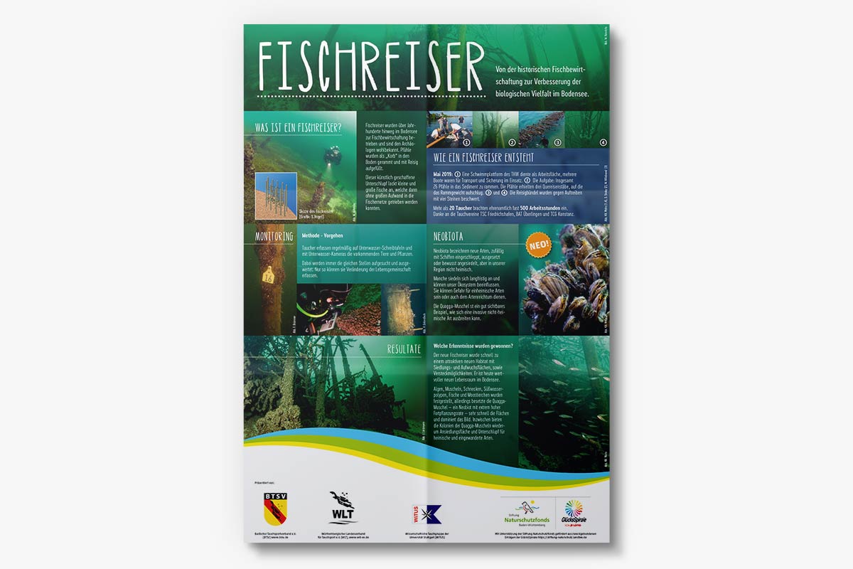 Infoplakat Fischreiser am Bodensee